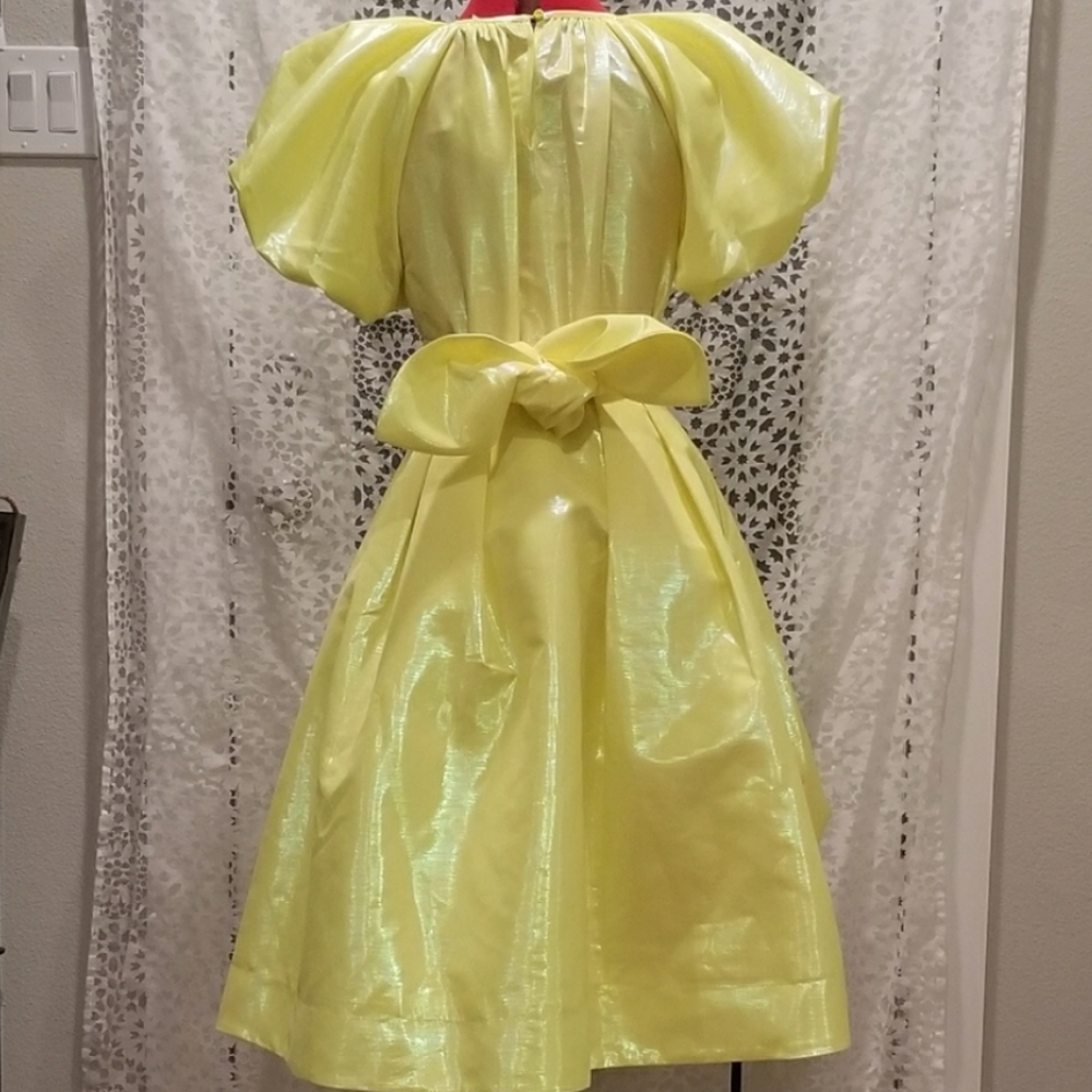 Christopher John Rodgers Iridescent Yellow Dress - Picture 16 of 16